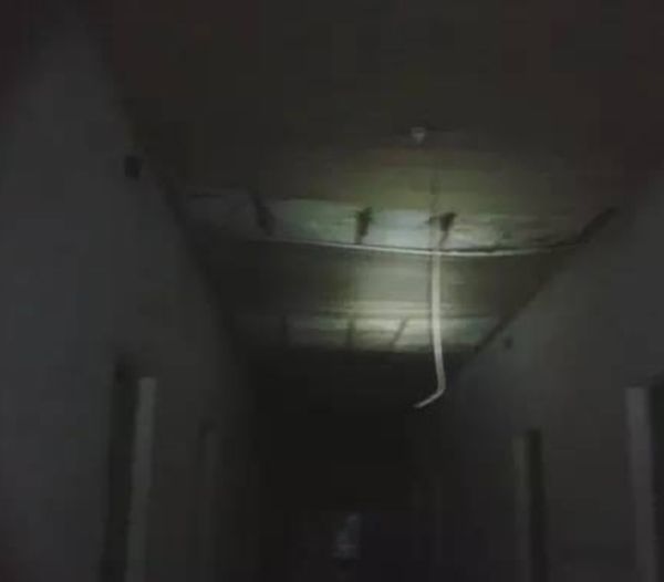 !̵ʮ֮ йʮƵа