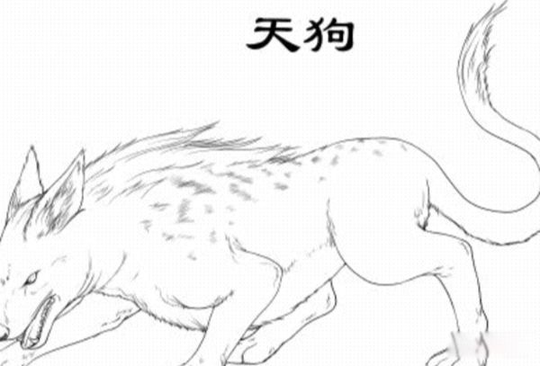 칷ʳʲô 칷ʳµ񻰹¼