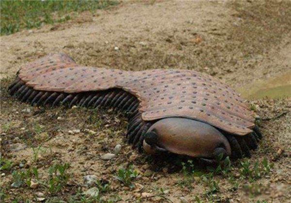 ʮֲ Ǻϵİݿ