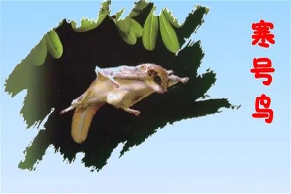 ʲô ?Ϊʲôк