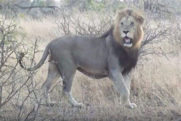 繫ϵʮʨ ʨаǰʮ