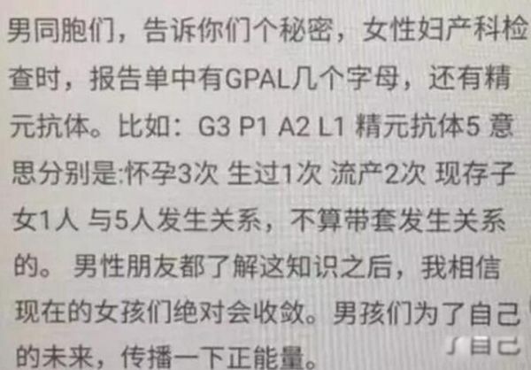 gpalԪ gpal鵥Ǽʲô