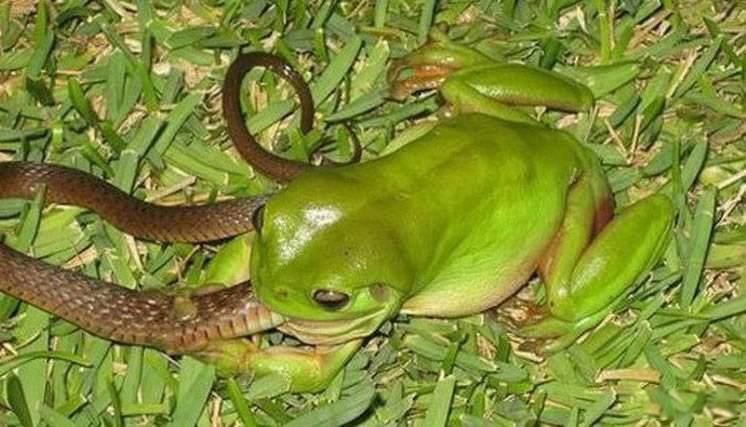 Ϊʲôҧ ܳߵͼƬ