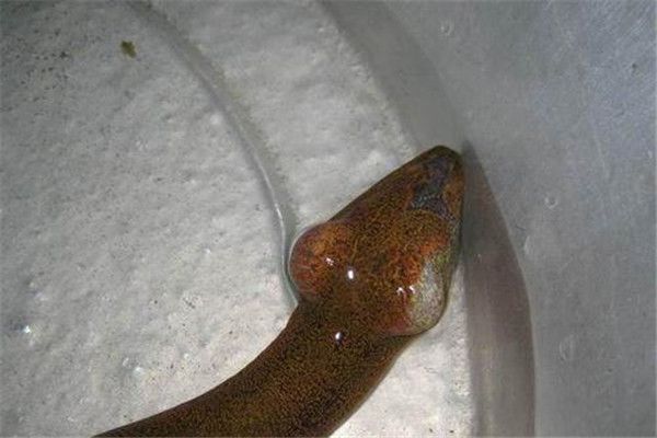 Ϊʲôܳ жԭ