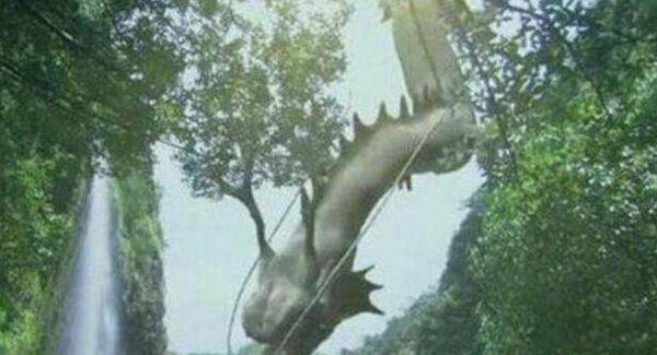ʵ߻Ĺ ɽع