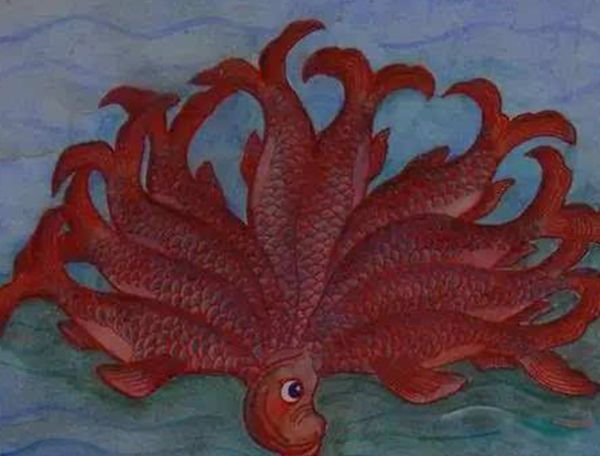 ʵͼƬʲô ɽǲ