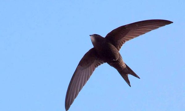 βٶʱɴ352ǧСʱ ٶȱ
