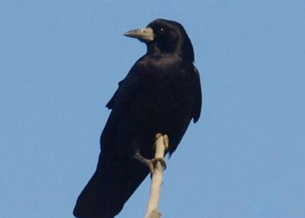 ͺѻļص ൱峤53