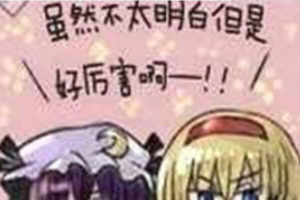 䲻ͬ ʲô˼