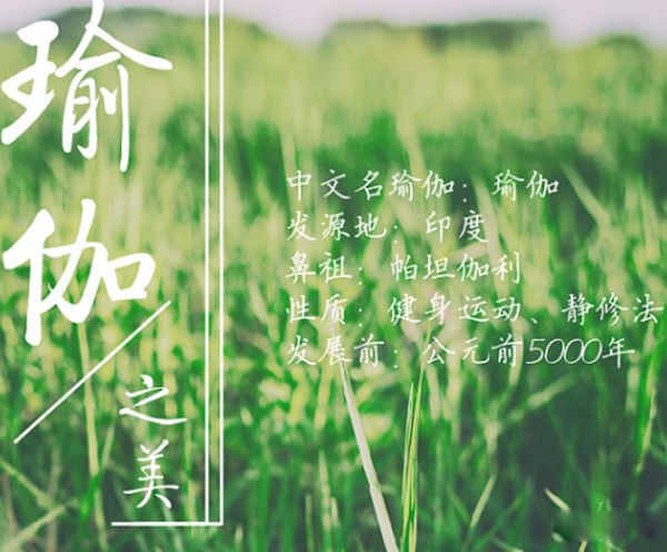 ӡ٤ô ٤Դܶ
