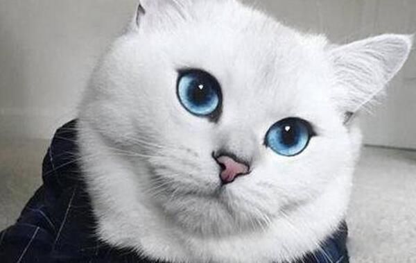 ëèͲ˹è ̫ÿ