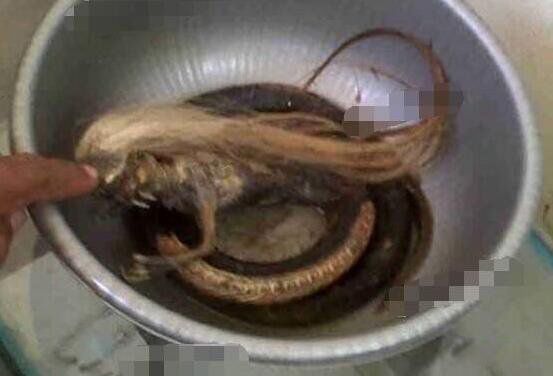 ͷʵ¼ ͷĵط