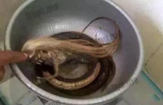 ͷʵ¼ ͷĵط