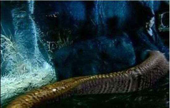 ͷʵ¼ ͷĵط