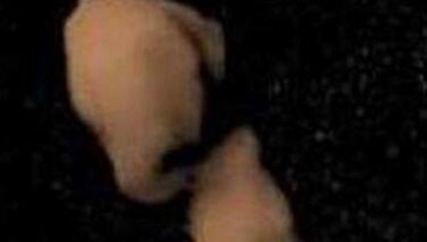 ޺Ϊʲôɹͷ ״ʮֹŹͷ