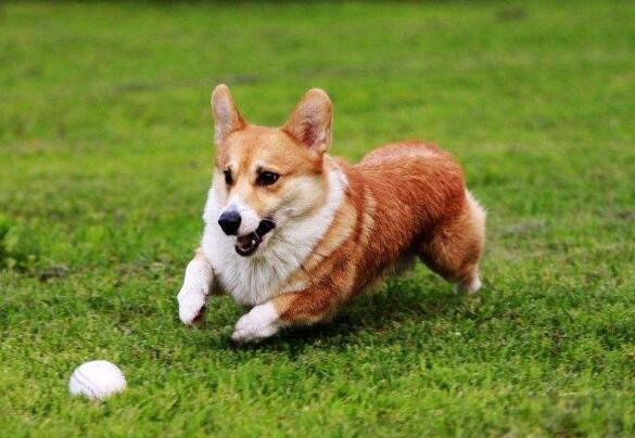 ʲôɰ ʮɰĹƬ