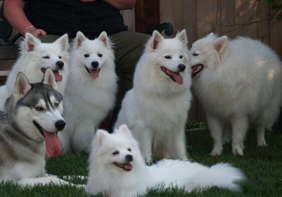 ʲôɰ ʮɰĹƬ