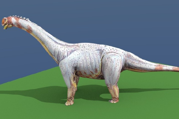 ϫʳݵĻʳ ϫж