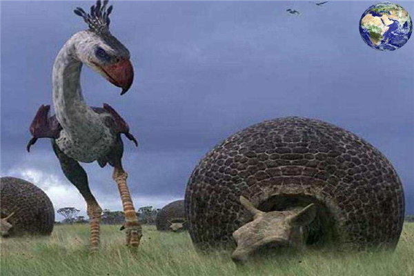  ͼƬʲô