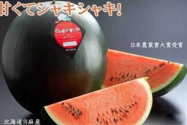 һǮ Ϊʲôô