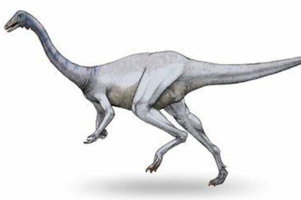 ʲôʱڵ ʳݻʳʳԿ