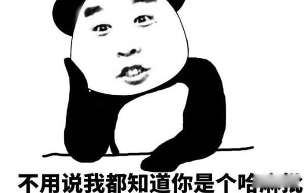 Ȧdpʲô˼ dpЩ