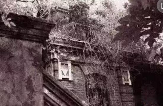 ּլ37ʵ¼ 37¼֮¼