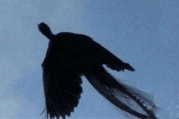 ĵô Ž粻ҹĵ