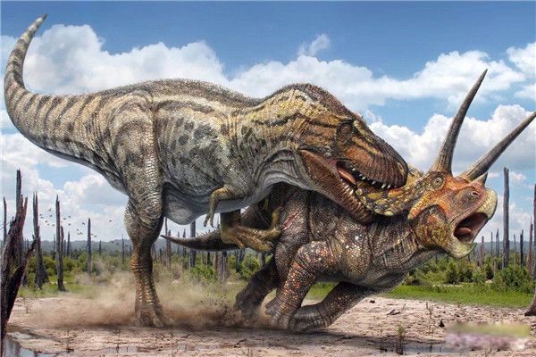 ��������Ŀ���¼�������� ��������������ʵ������