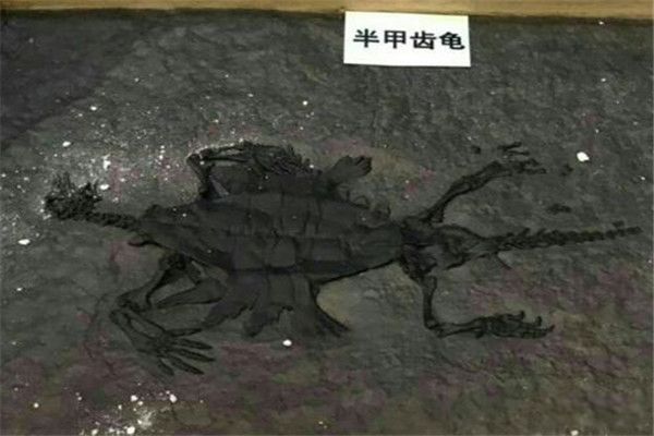 ƾõĺʲô ϵĺж