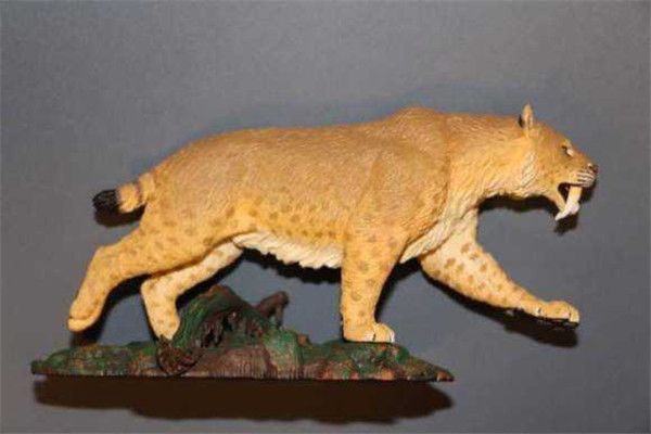 �����гݻ���ʲô���� �����гݻ�Ϊʲô�����