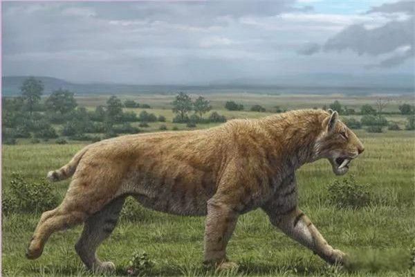 �����гݻ���ʲô���� �����гݻ�Ϊʲô�����