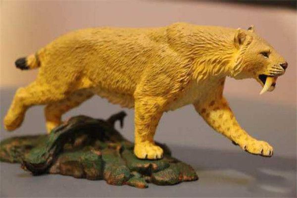 �����гݻ���ʲô���� �����гݻ�Ϊʲô�����