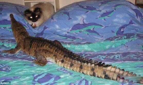 ЩƷ ˻ҧ
