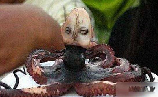 ӡͼƬʲô ˵Ŀʲô