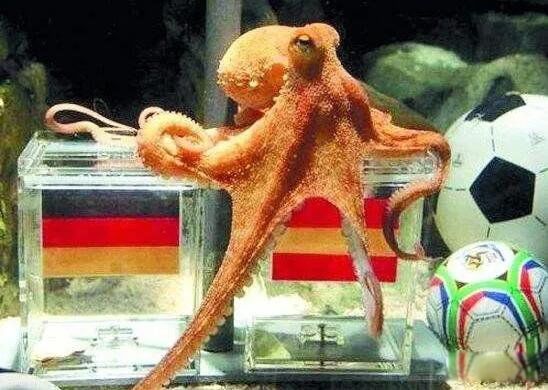 ӡͼƬʲô ˵Ŀʲô