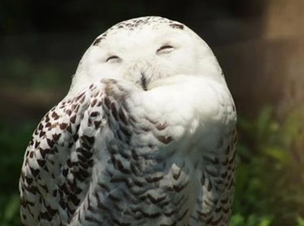 ЩͼƬ дԵĶʲô