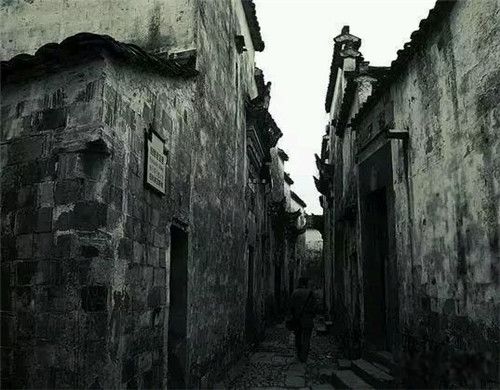 йطаǰʮ ֲ:¼