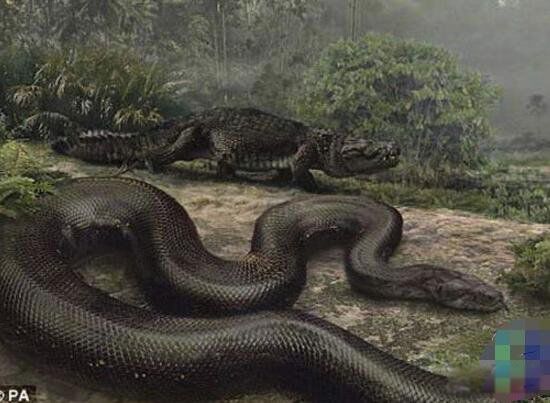 ���ؾ���Ŀ���¼� �����������ؾ���nabau���֮��