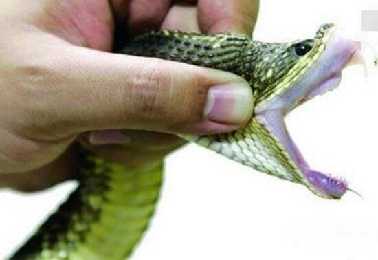 ���ؾ���Ŀ���¼� �����������ؾ���nabau���֮��