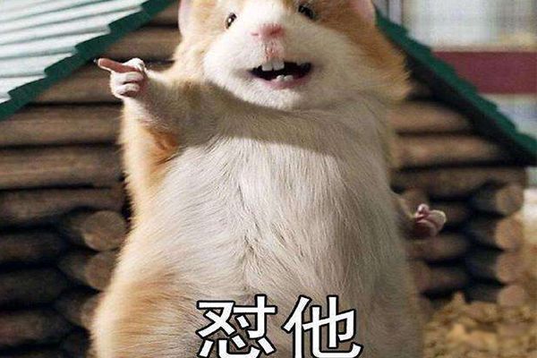 ˼ Լʲô˼