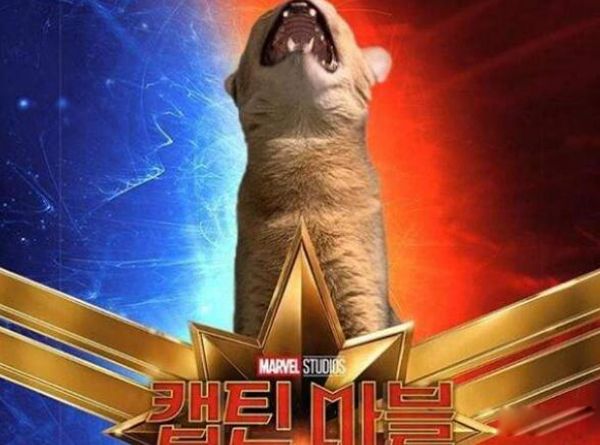 Ԫʲôս ȥ?Ϊʲôץֳ۾
