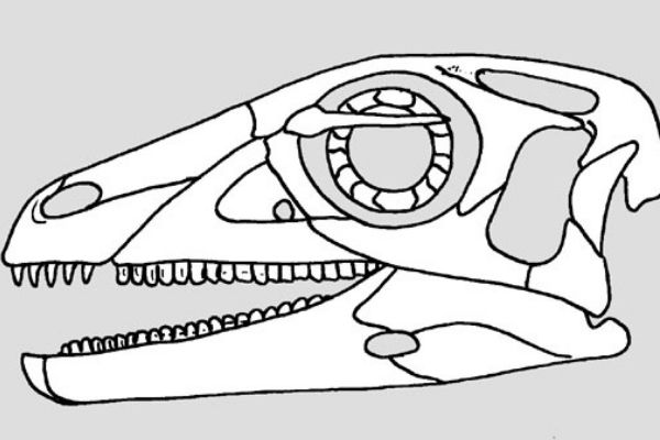 ʼʳԻǲʳԿ ʼĿ