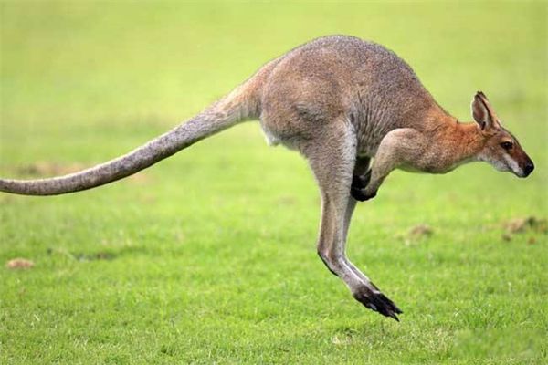 �����β���ô��� �����β������Ҫ��������ʲô