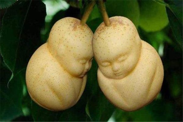 ϹЩ ʮϹа