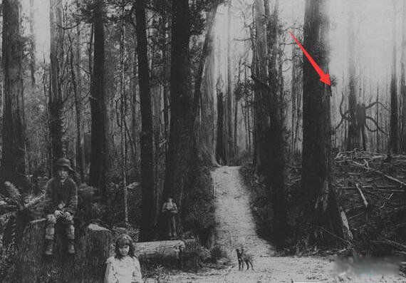 ɱͯħ˭ д˵ݳӰslender manʲô