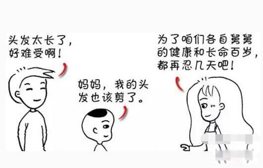 ͷ˾仰 Ϊʲô˵ͷ˾