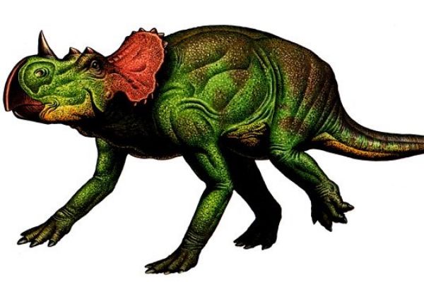 Ұţʳݻʳ Ұţʲôӵʲô