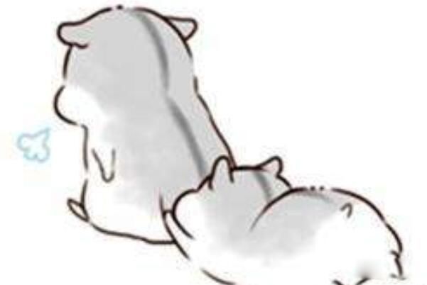 ʲô˼򵥵 ֮