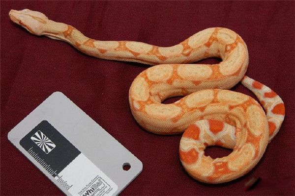 βʲô βǼ
